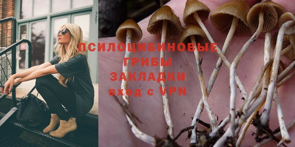 стафф Алексеевка
