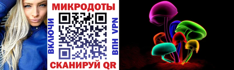 Псилоцибиновые грибы Psilocybe  ссылка на мегу зеркало  Чадан 